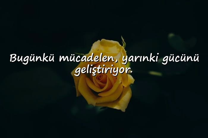 resimli ağır sabır sözleri - 2