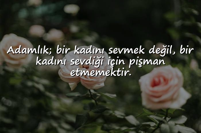 resimli ağır sözler - 23
