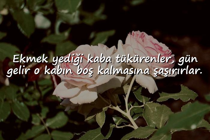 resimli ağır sözler - 13