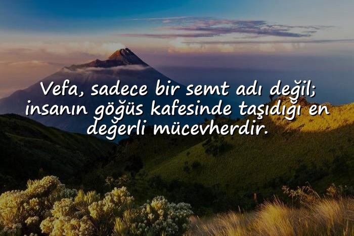 resimli ağır sözler - 8