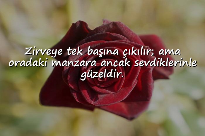 resimli ağır sözler - 3