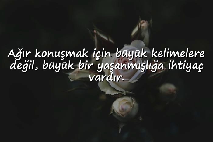 resimli ağır sözler - 18