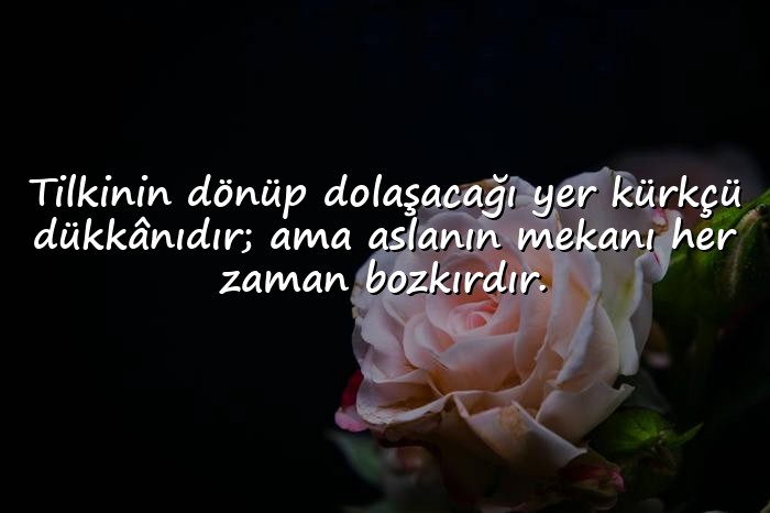 resimli ağır sözler - 8