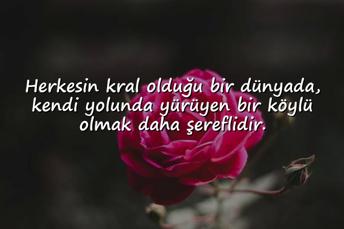 resimli ağır sözler - 3