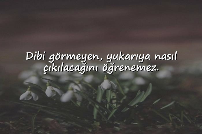 resimli ağır sözler - 1