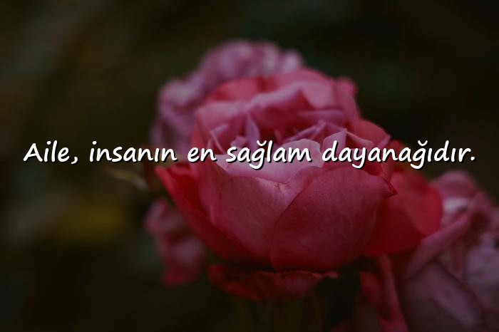 resimli aile ile ilgili sözler - 6