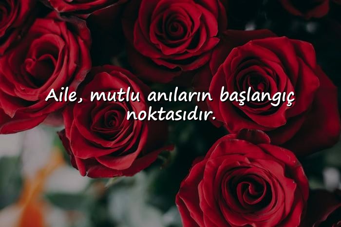 resimli aile ile ilgili sözler - 1
