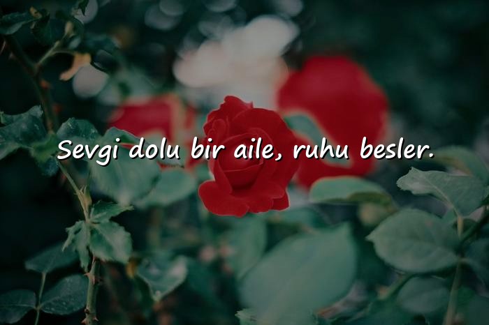 resimli aile ile ilgili sözler - 21