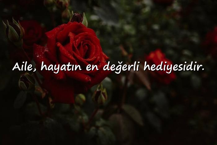 resimli aile ile ilgili sözler - 16