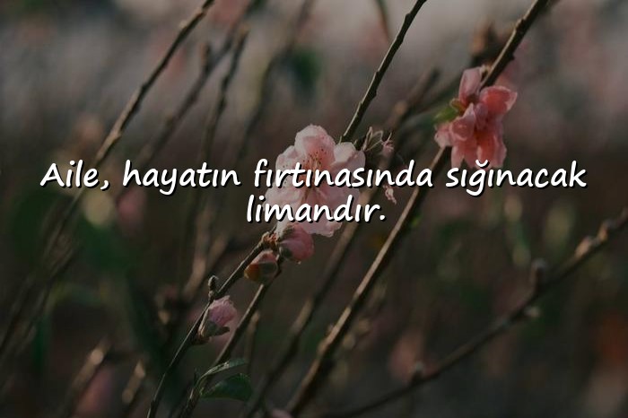 resimli aile ile ilgili sözler - 11