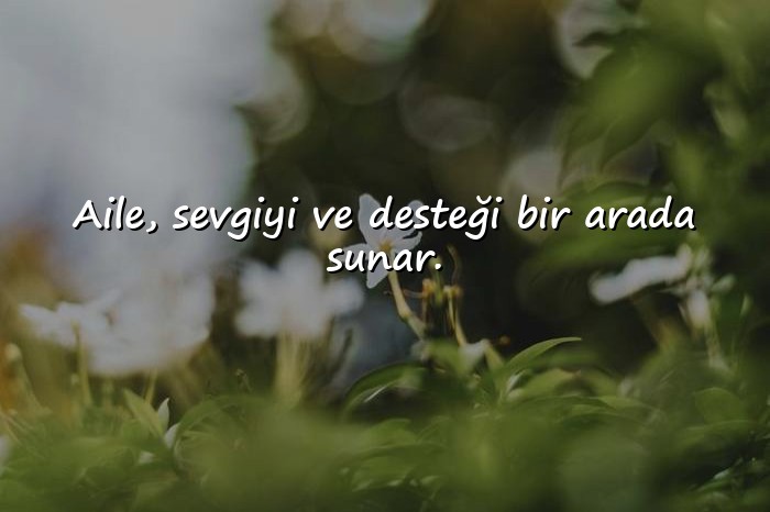 resimli aile ile ilgili sözler - 6