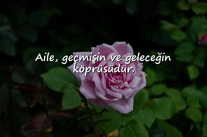 resimli aile ile ilgili sözler - 1