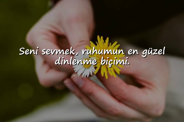 resimli anlamlı aşk sözleri - 21