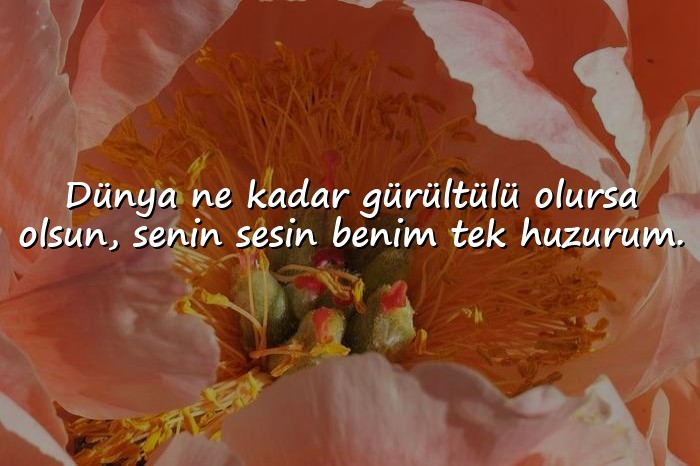 resimli anlamlı aşk sözleri - 16