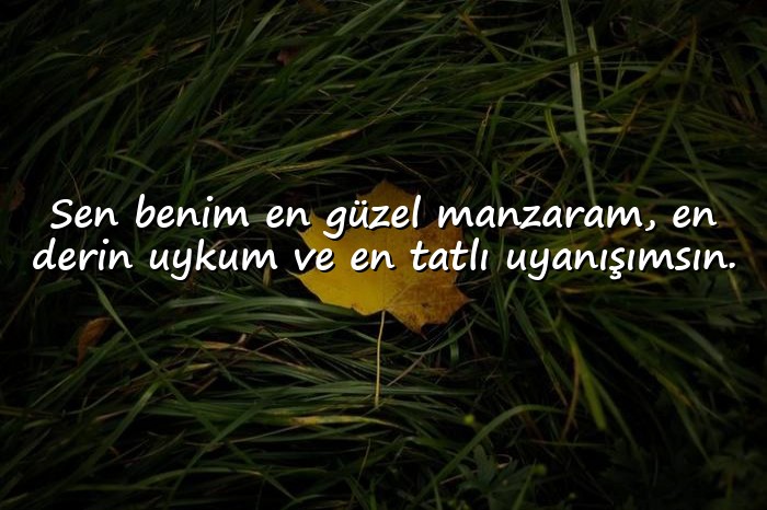resimli anlamlı aşk sözleri - 11