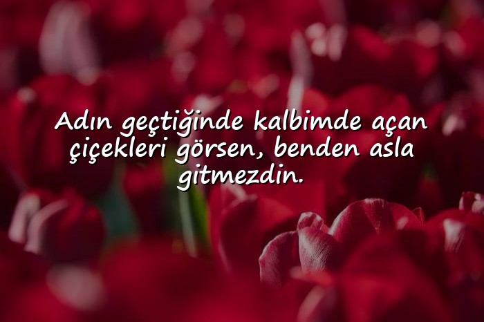 resimli anlamlı aşk sözleri - 1
