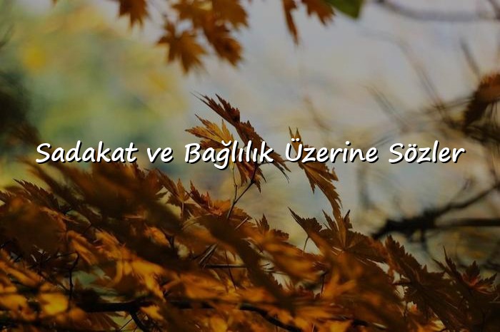 resimli anlamlı aşk sözleri - 21