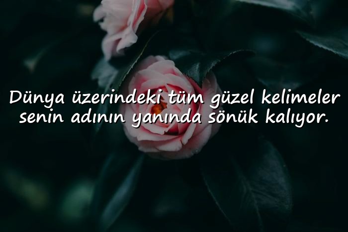 resimli anlamlı aşk sözleri - 16