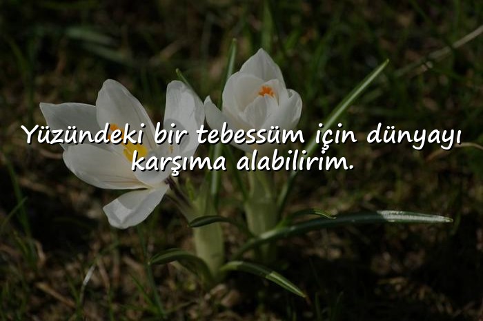 resimli anlamlı aşk sözleri - 11
