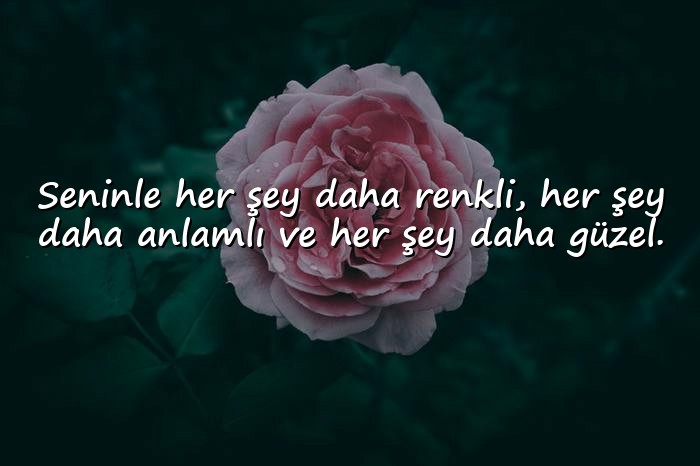resimli anlamlı aşk sözleri - 6