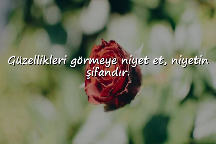 resimli anlamlı kısa sözler - 9