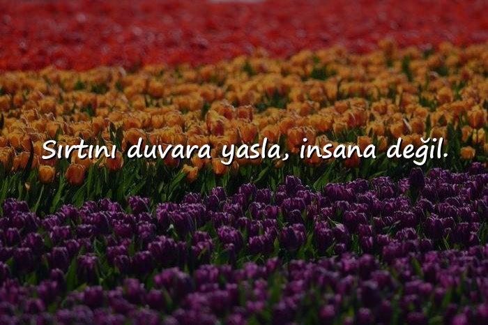 resimli anlamlı kısa sözler - 4