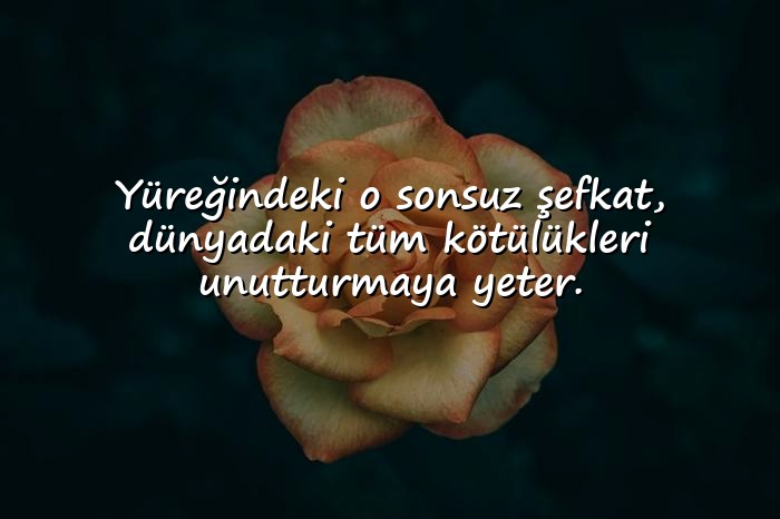 resimli anne ile ilgili sözler - 17