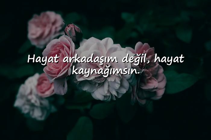 resimli anne ile ilgili sözler - 7