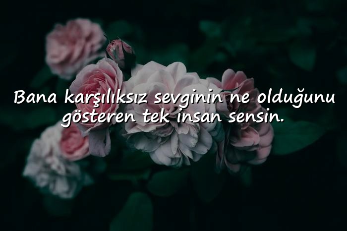 resimli anne ile ilgili sözler - 2