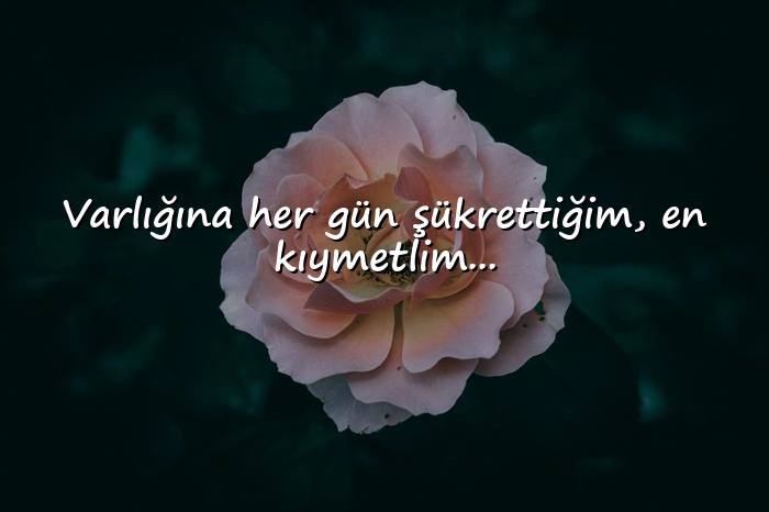 resimli anne ile ilgili sözler - 22