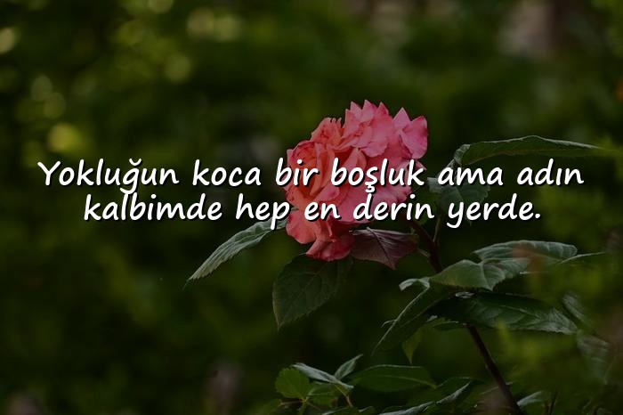 resimli anne ile ilgili sözler - 12