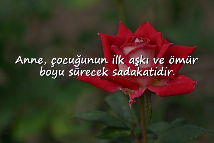 resimli anne ile ilgili sözler - 2