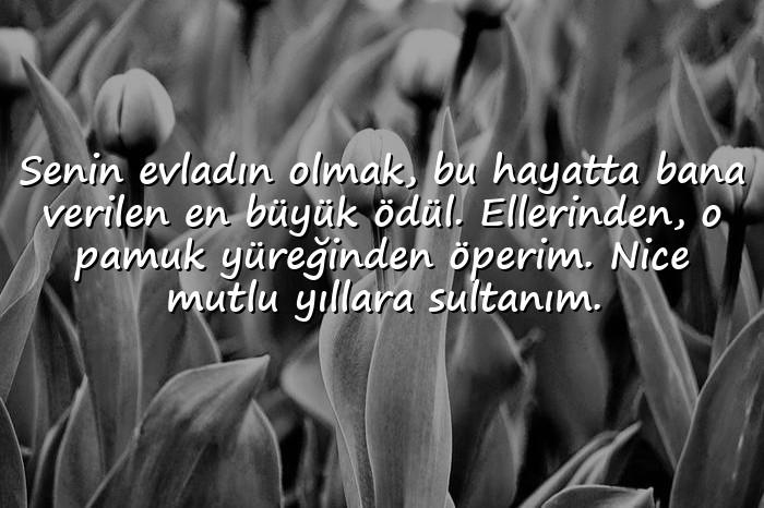resimli anneye doğum günü mesajı - 21