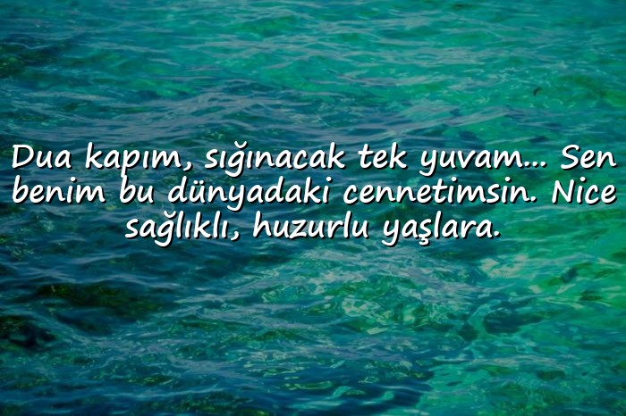resimli anneye doğum günü mesajı - 16