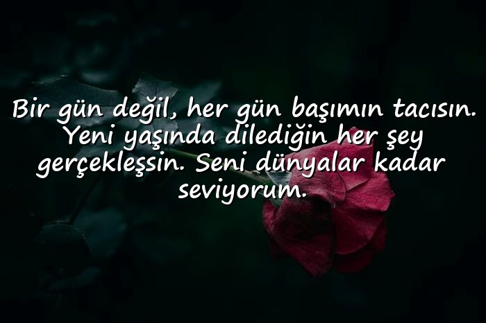 resimli anneye doğum günü mesajı - 11
