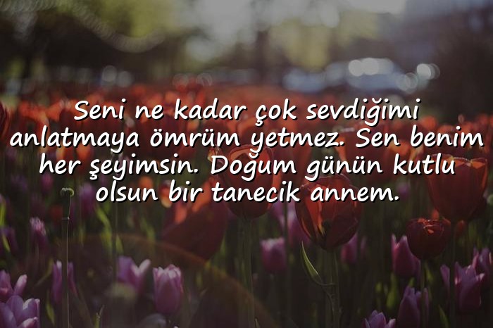 resimli anneye doğum günü mesajı - 1