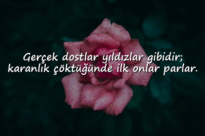 resimli Arkadaş ve Dostluk Sözleri - 6