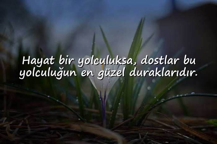 resimli Arkadaş ve Dostluk Sözleri - 21