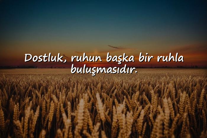 resimli Arkadaş ve Dostluk Sözleri - 16