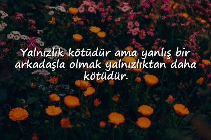 resimli Arkadaş ve Dostluk Sözleri - 6