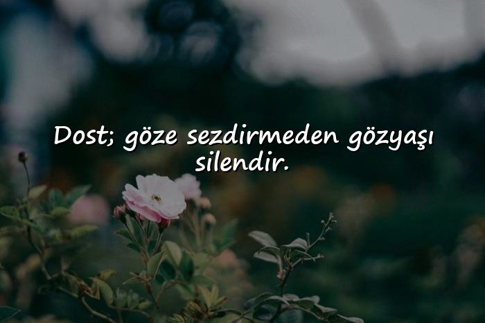 resimli arkadaşlık sözleri - 6