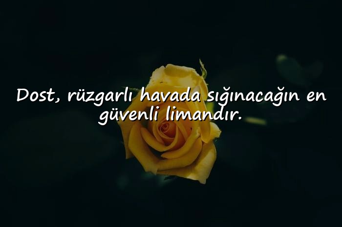 resimli arkadaşlık sözleri - 21