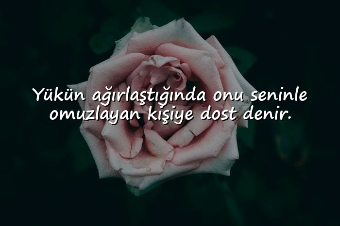 resimli arkadaşlık sözleri - 16