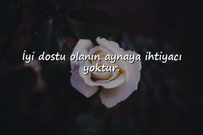 resimli arkadaşlık sözleri - 11