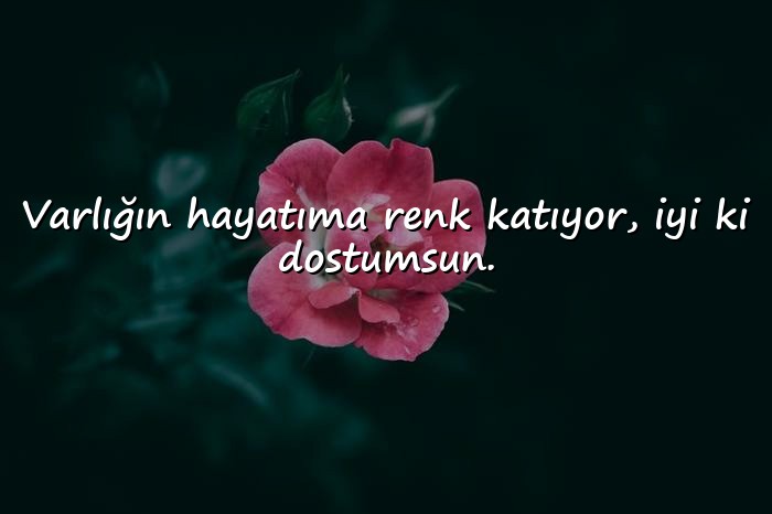 resimli arkadaşlık sözleri - 1