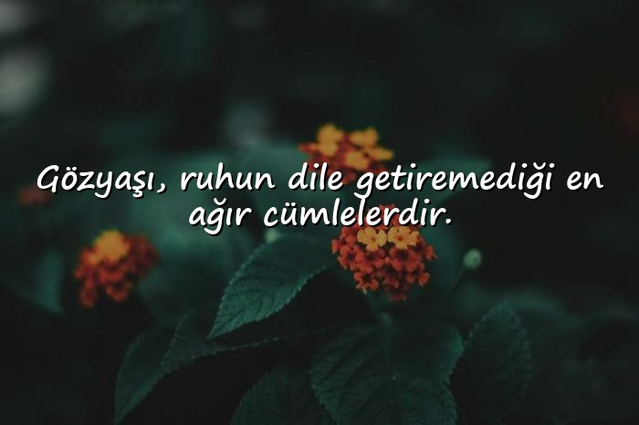 resimli aşırı anlamlı sözler - 5