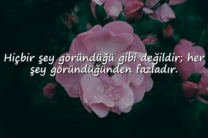 resimli aşırı anlamlı sözler - 20