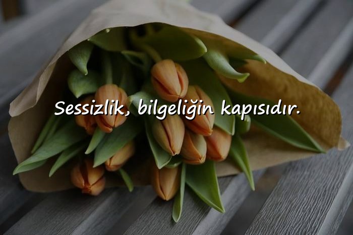 resimli aşırı anlamlı sözler - 15