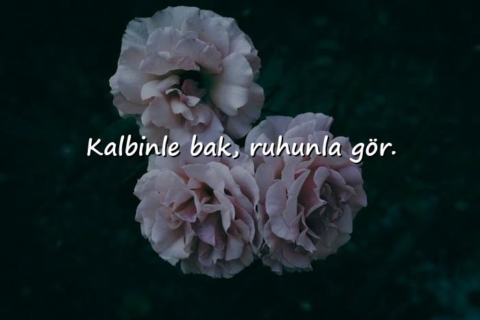 resimli aşırı anlamlı sözler - 5