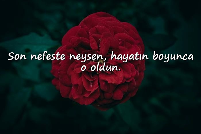resimli aşırı anlamlı sözler - 1